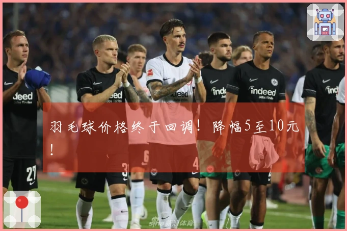羽毛球价格终于回调！降幅5至10元！