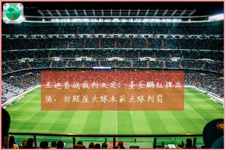 王迪首战裁判决定：姜至鹏红牌离场，刘殿座头球未获点球判罚