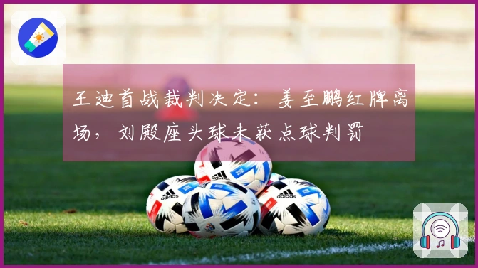 王迪首战裁判决定：姜至鹏红牌离场，刘殿座头球未获点球判罚