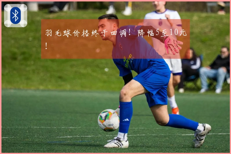 羽毛球价格终于回调！降幅5至10元！